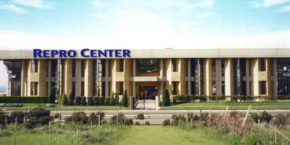 Company Foundation